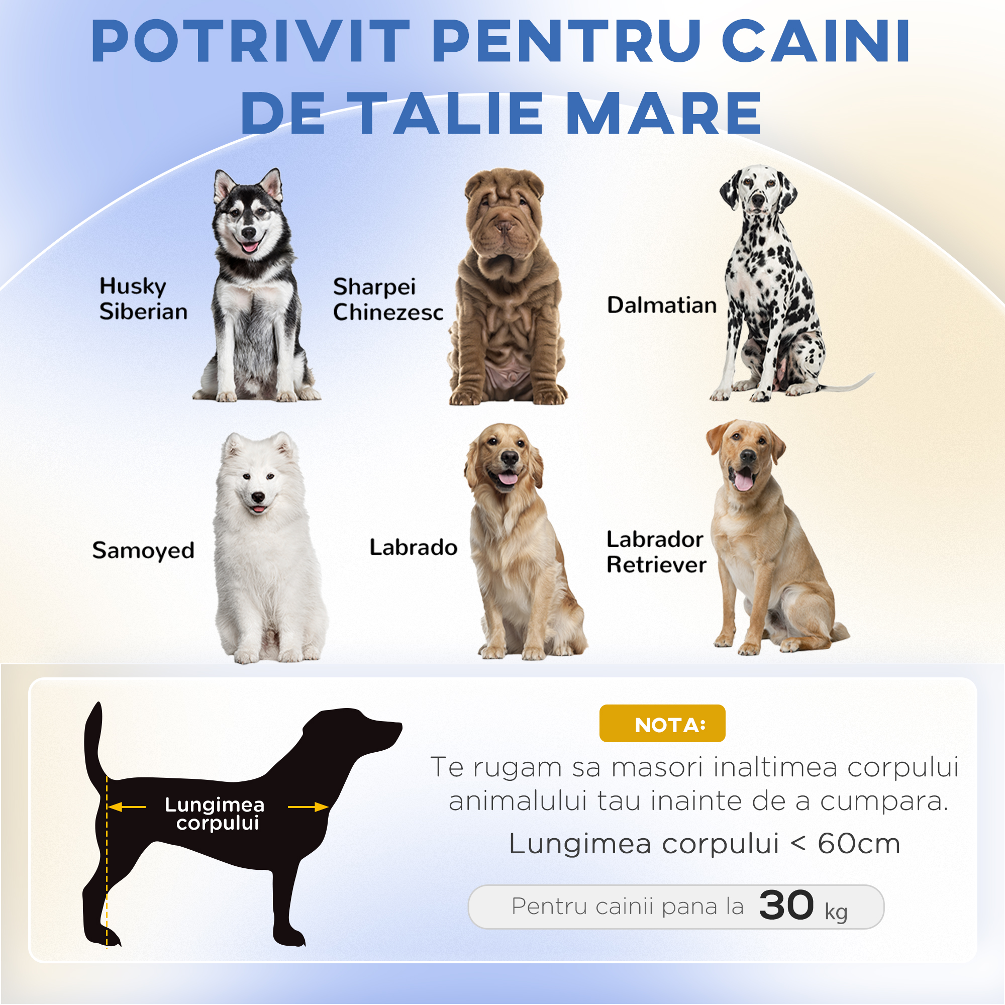 Hundebett Hundesofa Haustiersofa, Eukolyptusholz, 98 x 67 x 25 cm, Grün