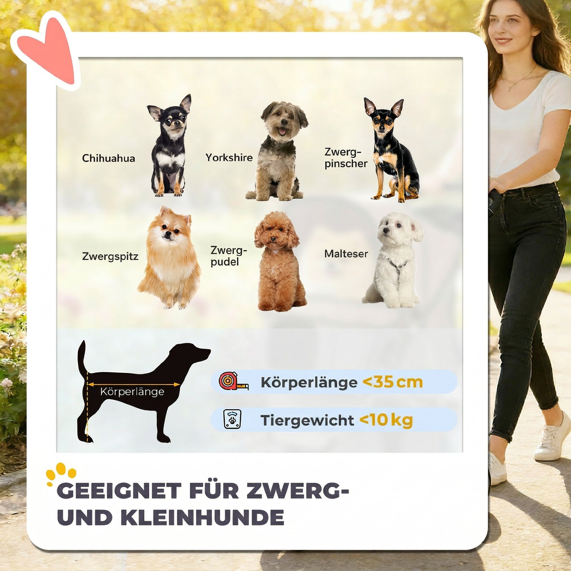 pawhut-hundewagen-faltbar-hundebuggy-mit-aufbewahrungskorb-kissen-netzfenster-getrankehalter-fur-kleine-hunde~2541S3PM1S001