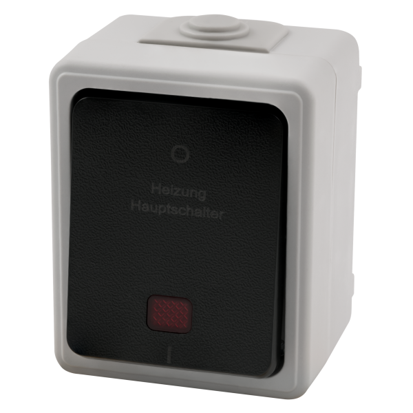 Feuchtraum Heizungs Hauptschalter McPower ''Taff'', 250V~/10A, IP44, AP, grau